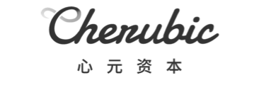 心元资本 new2
